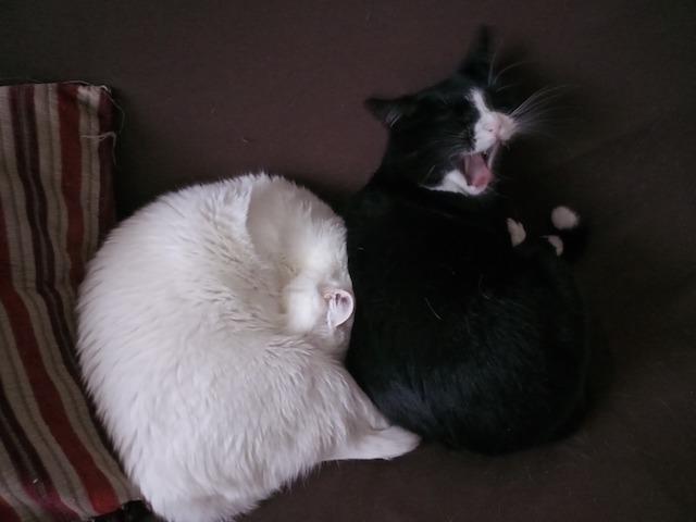 LATÊNCIA<br>EPISÓDIO: DOIS DEPOIS